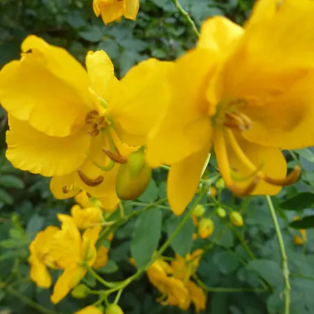 Domaine Valdaronu Vakantiehuis