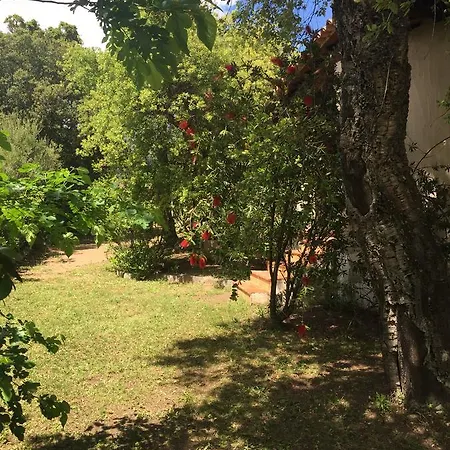 Ferienhaus Domaine Valdaronu