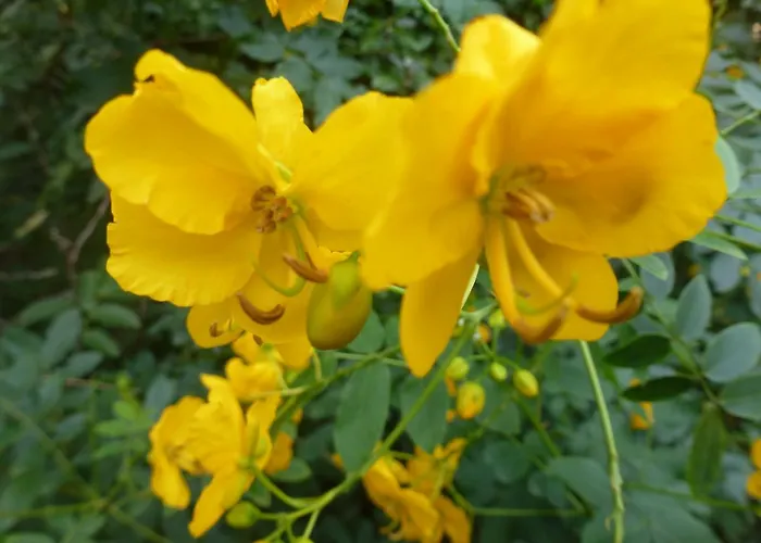 Domaine Valdaronu Casa vacanze