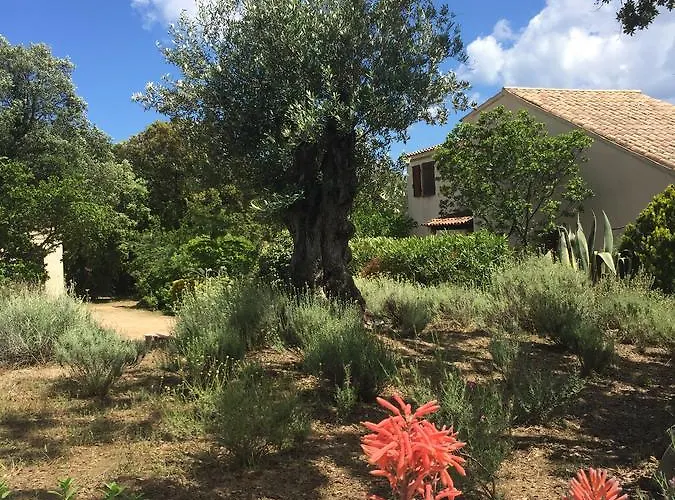 Domaine Valdaronu Σπίτι διακοπών Sainte-Lucie de Porto-Vecchio