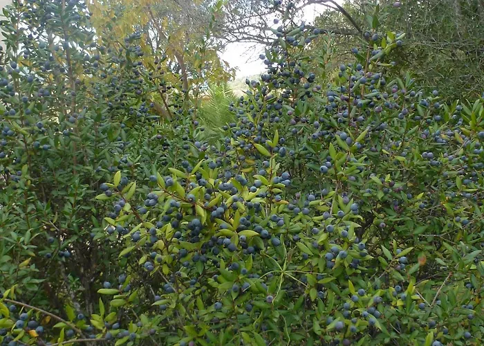 Σπίτι διακοπών Domaine Valdaronu *
